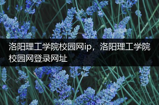 洛阳理工学院校园网ip，洛阳理工学院校园网登录网址