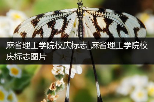 麻省理工学院校庆标志_麻省理工学院校庆标志图片