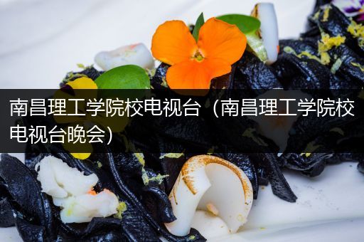 南昌理工学院校电视台（南昌理工学院校电视台晚会）