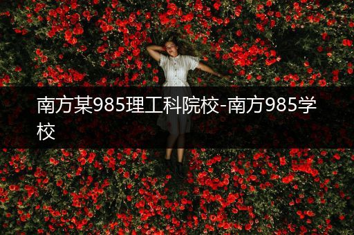南方某985理工科院校-南方985学校