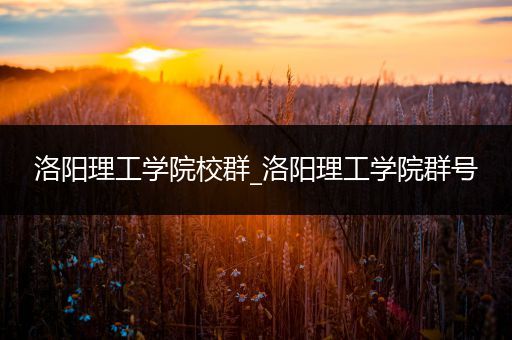 洛阳理工学院校群_洛阳理工学院群号