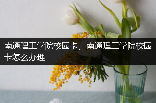 南通理工学院校园卡，南通理工学院校园卡怎么办理