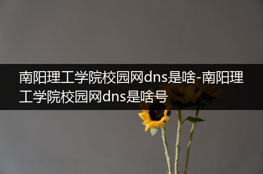 南阳理工学院校园网dns是啥-南阳理工学院校园网dns是啥号