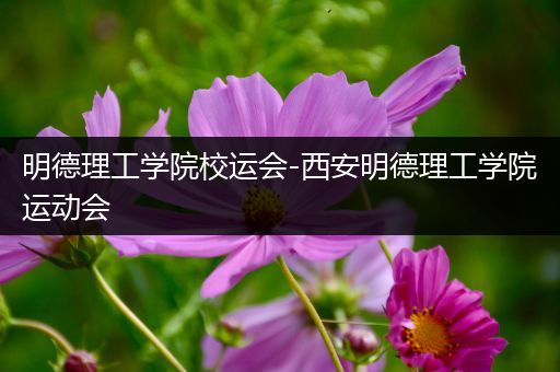 明德理工学院校运会-西安明德理工学院运动会