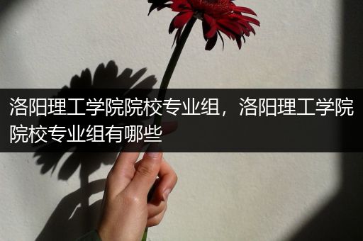 洛阳理工学院院校专业组，洛阳理工学院院校专业组有哪些
