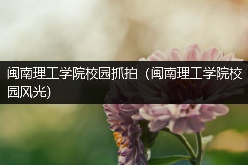 闽南理工学院校园抓拍（闽南理工学院校园风光）