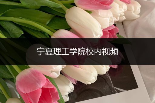 宁夏理工学院校内视频