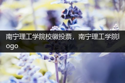 南宁理工学院校徽投票，南宁理工学院logo