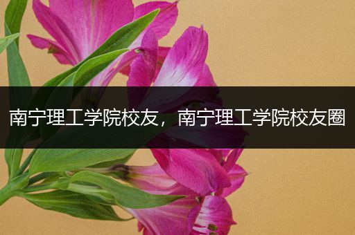 南宁理工学院校友，南宁理工学院校友圈