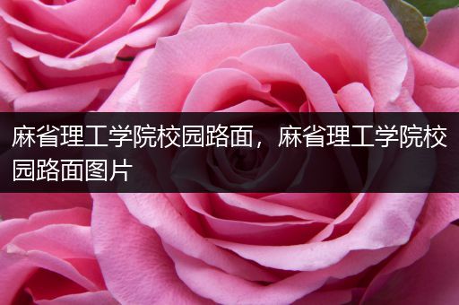 麻省理工学院校园路面，麻省理工学院校园路面图片