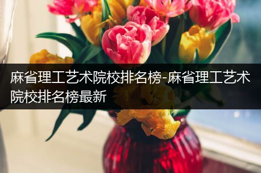 麻省理工艺术院校排名榜-麻省理工艺术院校排名榜最新