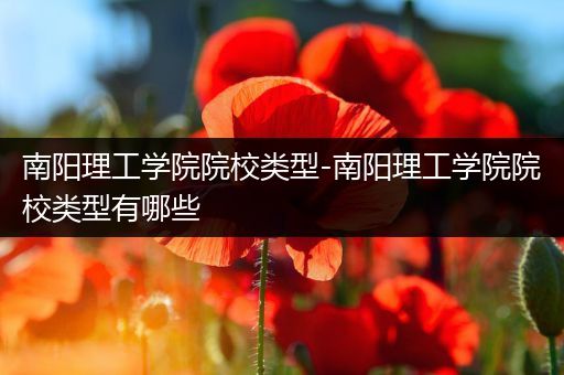 南阳理工学院院校类型-南阳理工学院院校类型有哪些