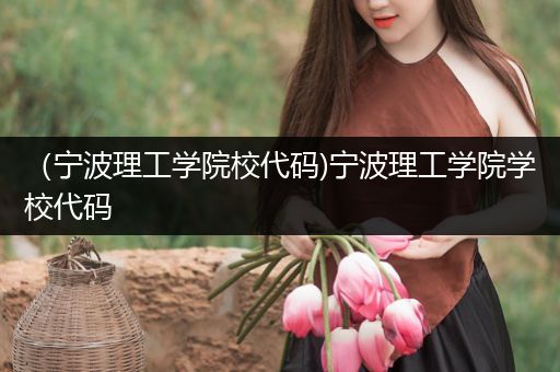 （宁波理工学院校代码)宁波理工学院学校代码