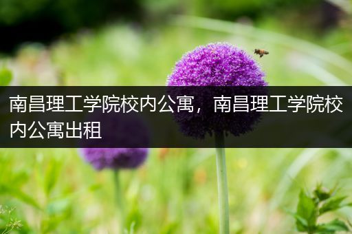 南昌理工学院校内公寓，南昌理工学院校内公寓出租