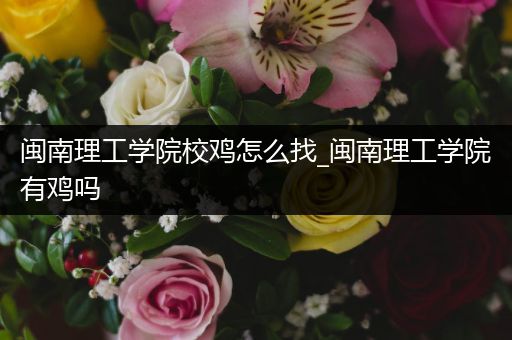 闽南理工学院校鸡怎么找_闽南理工学院有鸡吗