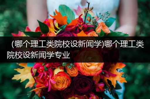 （哪个理工类院校设新闻学)哪个理工类院校设新闻学专业