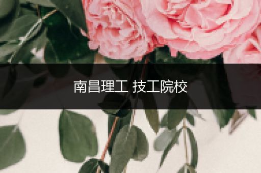 南昌理工 技工院校