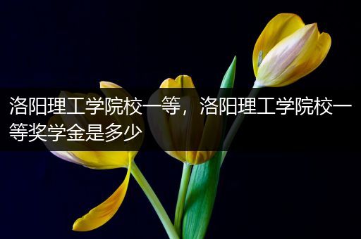 洛阳理工学院校一等，洛阳理工学院校一等奖学金是多少