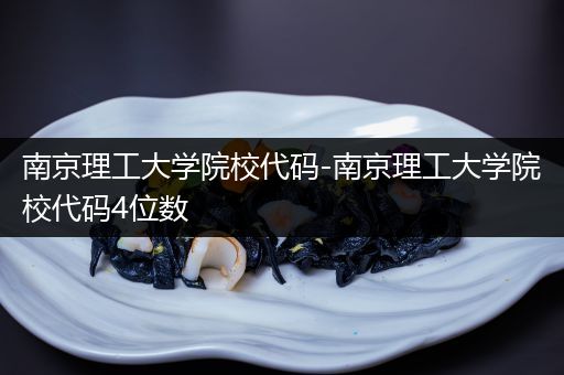 南京理工大学院校代码-南京理工大学院校代码4位数