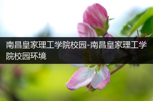 南昌皇家理工学院校园-南昌皇家理工学院校园环境