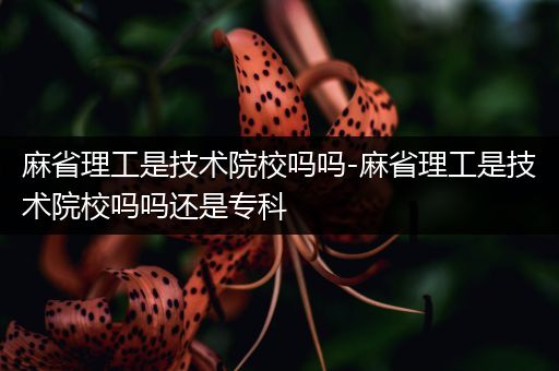 麻省理工是技术院校吗吗-麻省理工是技术院校吗吗还是专科