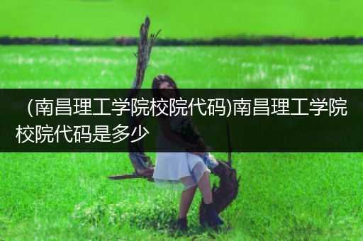 （南昌理工学院校院代码)南昌理工学院校院代码是多少