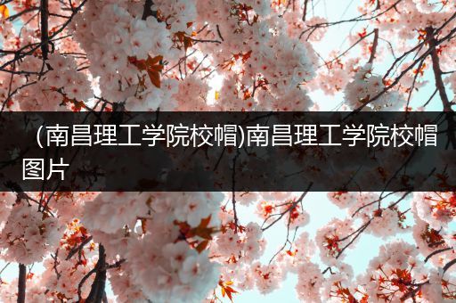 （南昌理工学院校帽)南昌理工学院校帽图片