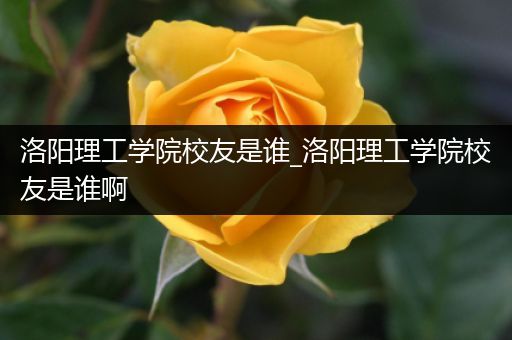 洛阳理工学院校友是谁_洛阳理工学院校友是谁啊
