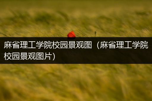 麻省理工学院校园景观图（麻省理工学院校园景观图片）