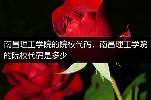 南昌理工学院的院校代码，南昌理工学院的院校代码是多少