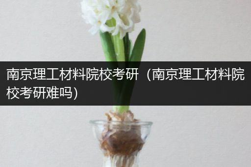 南京理工材料院校考研（南京理工材料院校考研难吗）