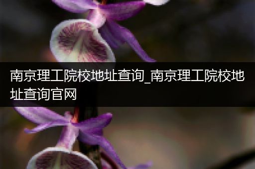 南京理工院校地址查询_南京理工院校地址查询官网