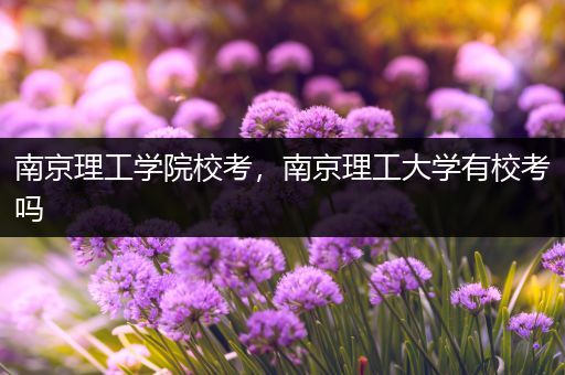 南京理工学院校考，南京理工大学有校考吗
