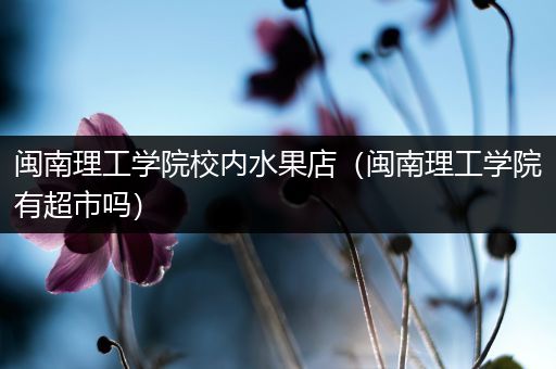 闽南理工学院校内水果店（闽南理工学院有超市吗）