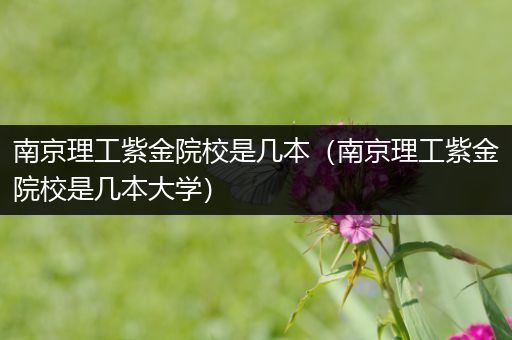 南京理工紫金院校是几本（南京理工紫金院校是几本大学）