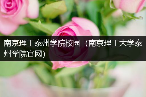 南京理工泰州学院校园（南京理工大学泰州学院官网）