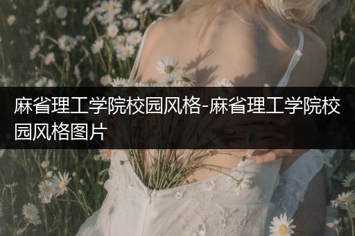 麻省理工学院校园风格-麻省理工学院校园风格图片
