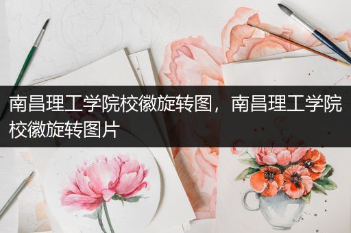 南昌理工学院校徽旋转图，南昌理工学院校徽旋转图片