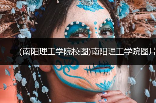 （南阳理工学院校图)南阳理工学院图片