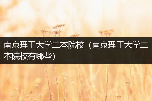 南京理工大学二本院校（南京理工大学二本院校有哪些）