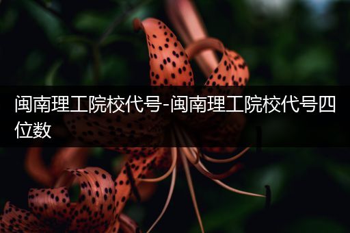 闽南理工院校代号-闽南理工院校代号四位数