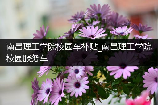 南昌理工学院校园车补贴_南昌理工学院校园服务车