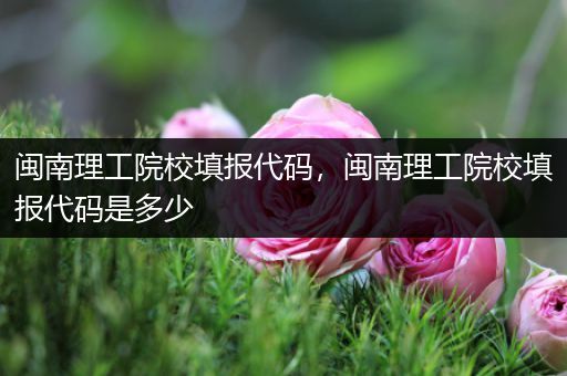 闽南理工院校填报代码，闽南理工院校填报代码是多少