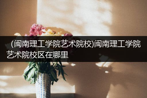 （闽南理工学院艺术院校)闽南理工学院艺术院校区在哪里