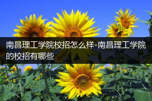 南昌理工学院校招怎么样-南昌理工学院的校招有哪些