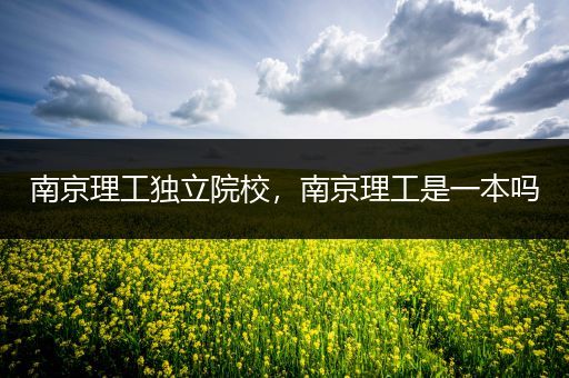 南京理工独立院校，南京理工是一本吗