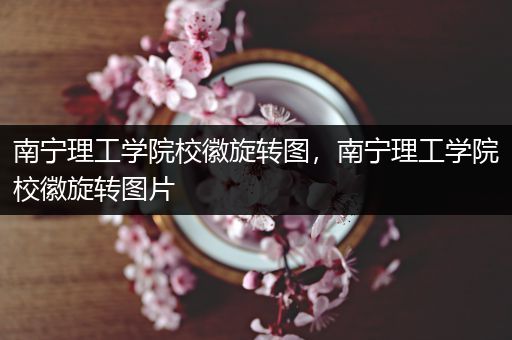 南宁理工学院校徽旋转图，南宁理工学院校徽旋转图片