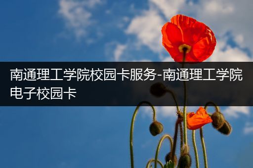 南通理工学院校园卡服务-南通理工学院电子校园卡