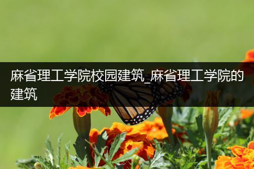 麻省理工学院校园建筑_麻省理工学院的建筑