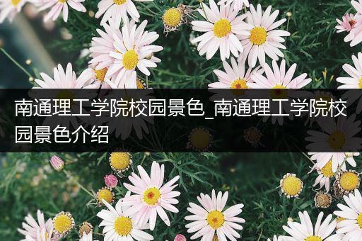 南通理工学院校园景色_南通理工学院校园景色介绍
